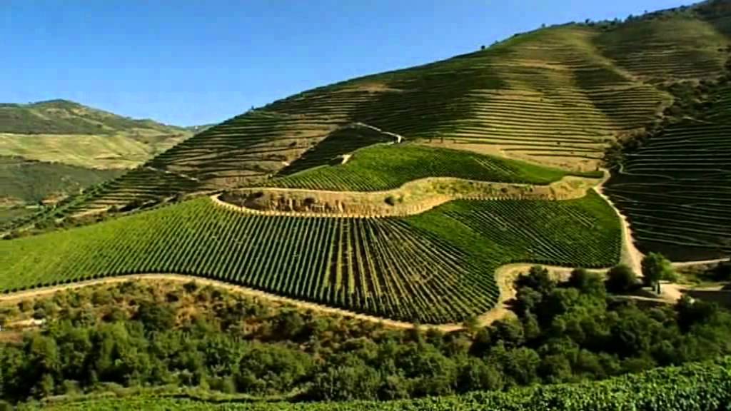 Quinta de Ventozelo