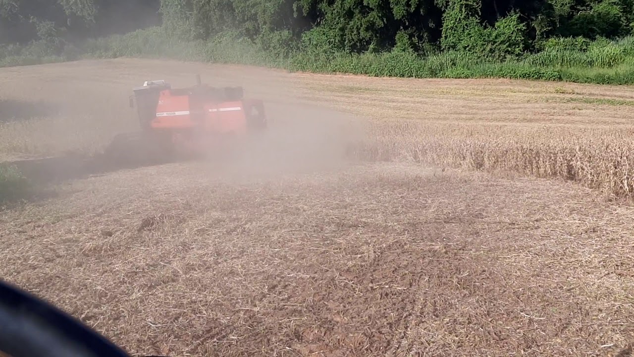 colheita de soja 2019/2020 MF3640