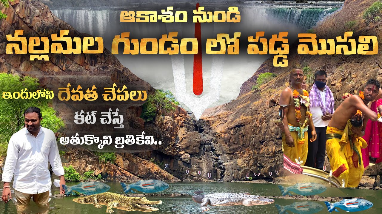 Nemaligundla Ranganayaka Swamy in Nallamala Forest - నల్లమల కొండలలో జరిగిన  అద్భుతం