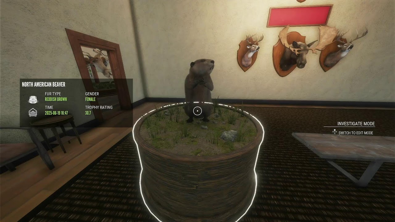 Taking a Relaxing Stroll theHunter Call of the Wild