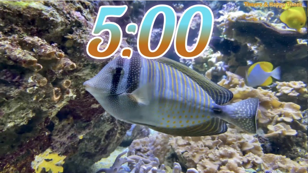 5 Minute Aquarium Timer/Countdown With Relaxing Music 🐟🐠|Cuenta Regresiva de 5 Minutos con M&uacute;sica.