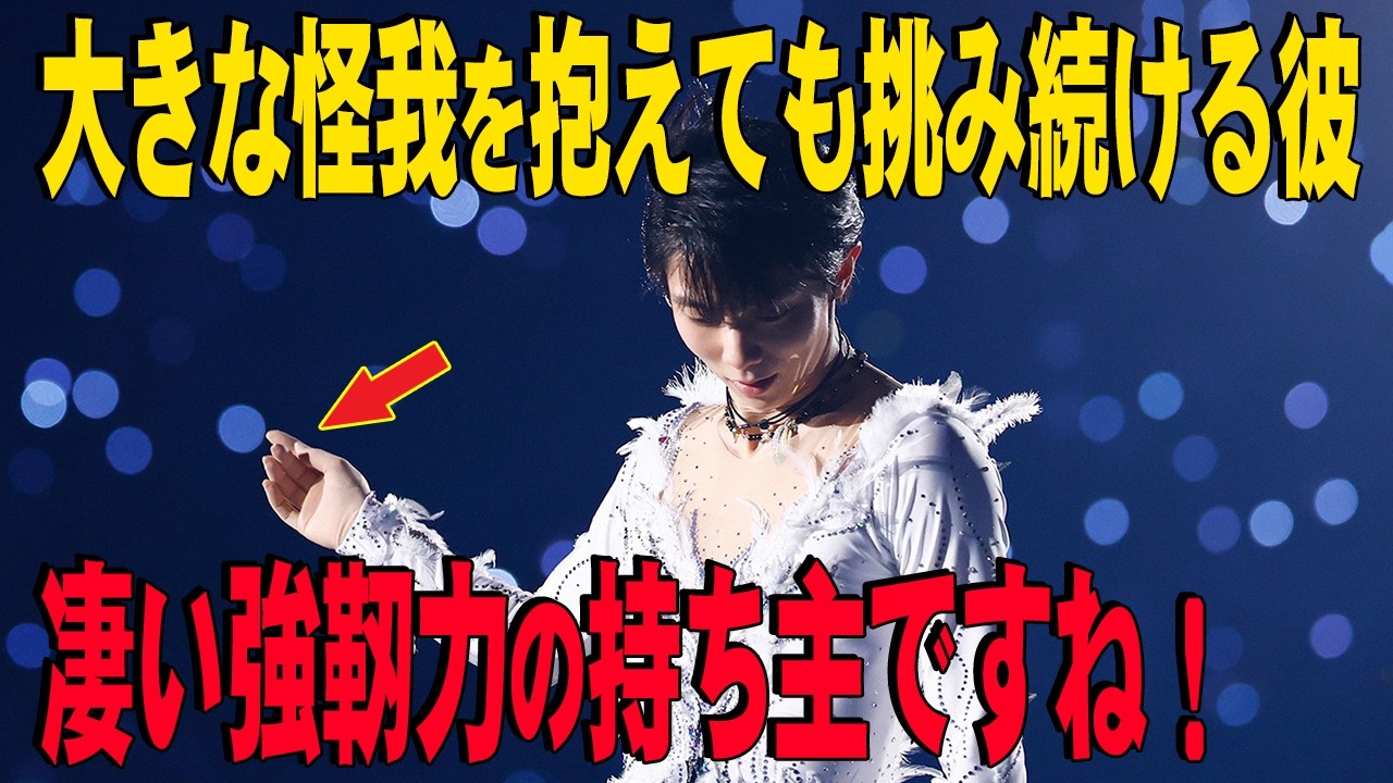 更新  2026年03月11日