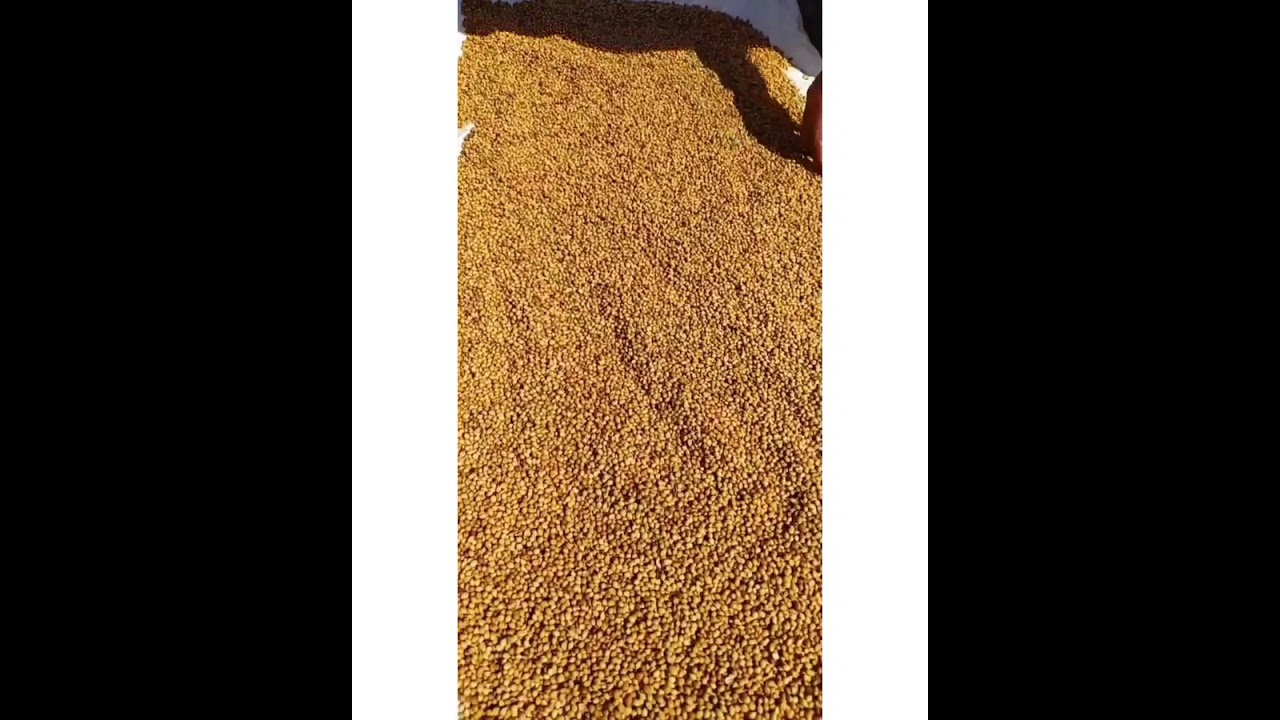 Homemade Spice - Spices are getting hot 😋 sundry process  #homemade spices#homemade masala#homemade#