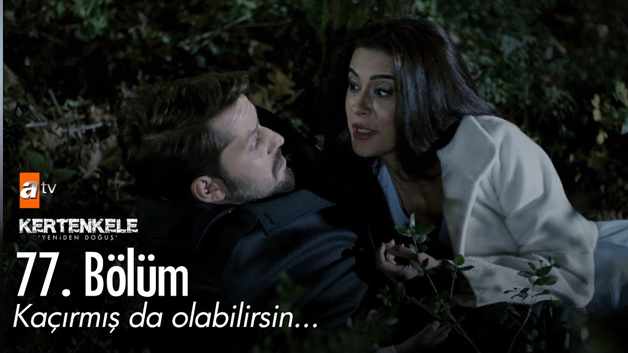 Kaçırmış da olabilirsin... - Kertenkele 'Yeniden Doğuş' 77. Bölüm - atv
