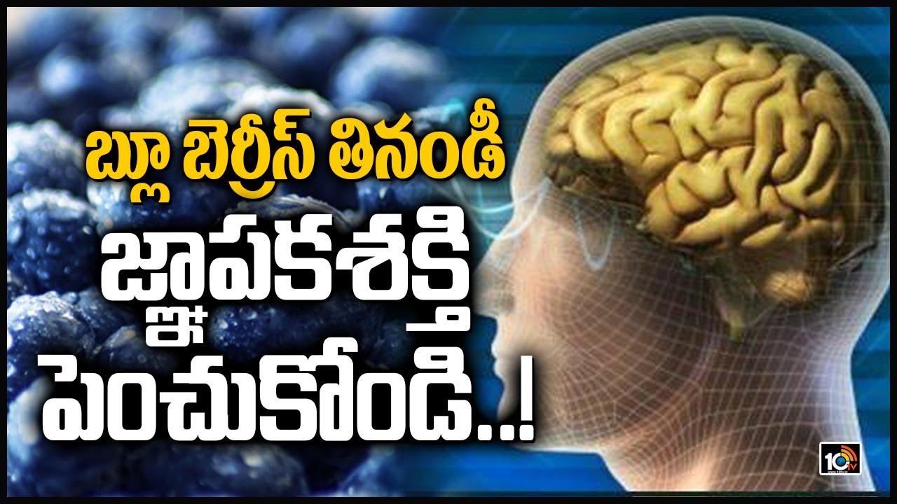 బ్లూ బెర్రీస్ తినండీ.. జ్ఞాపకశక్తి పెంచుకోండి..!: Health Benefits of Blueberries | 10TV News