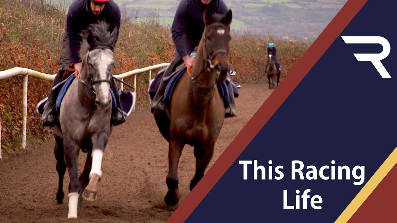 This Racing Life - Gowran Park - Racing TV