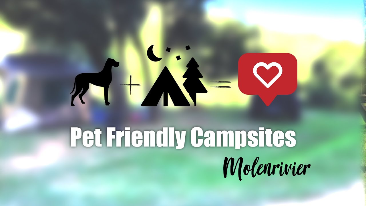 RTN | Pet Friendly Camp Sites | Molenrivier (Groot Brak)
