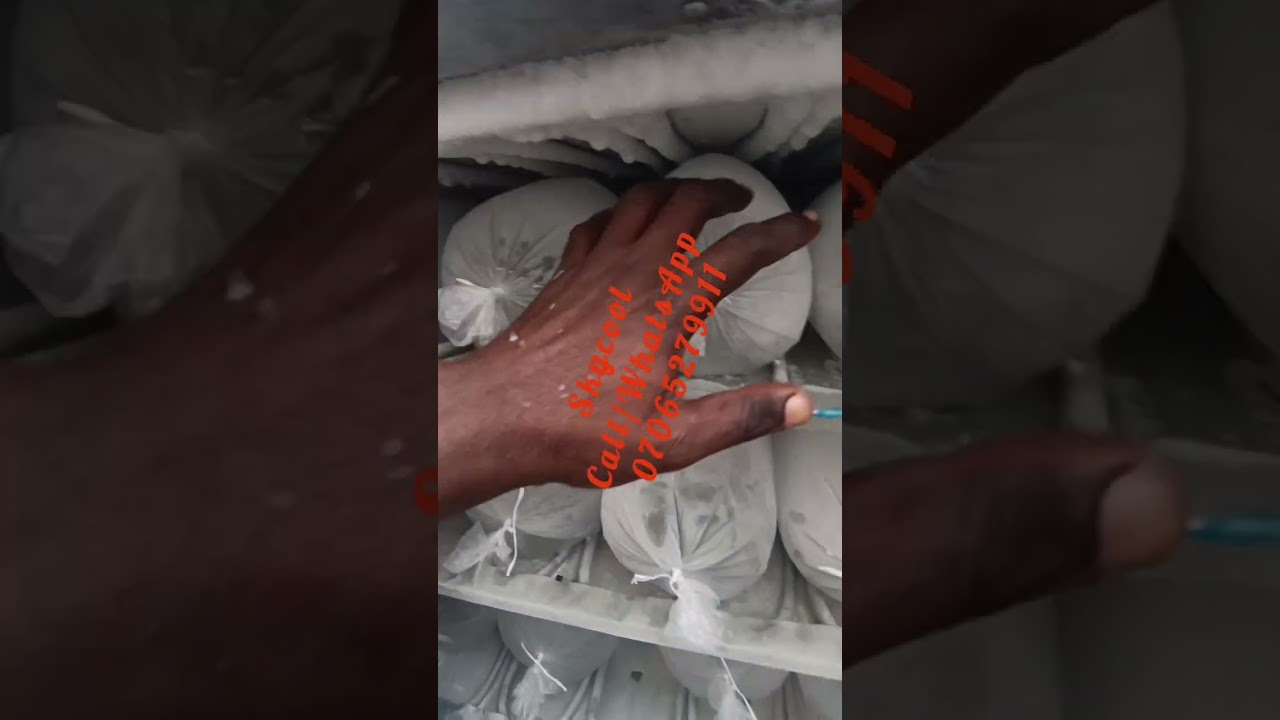 48VDC SOLAR POWERED ICE BLOCK MACHINE 