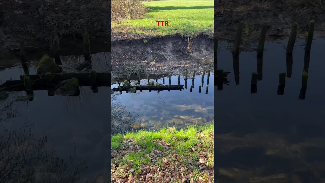 Warum werden Pfähle in das Flussufer gerammt? #deutschland #nature #subscribe #stake #bach