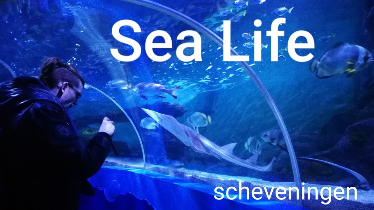 I went to Sea Life Scheveningen