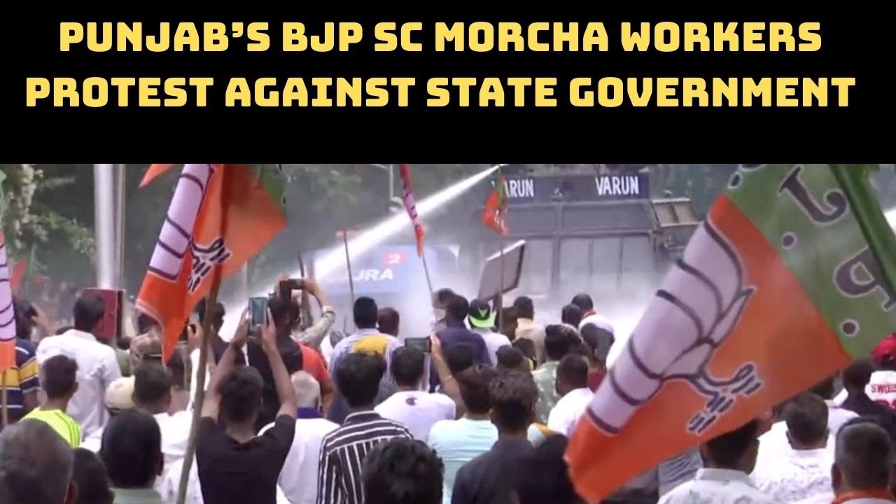Punjab&rsquo;s BJP SC Morcha Workers Protest Against State Government | Catch  News