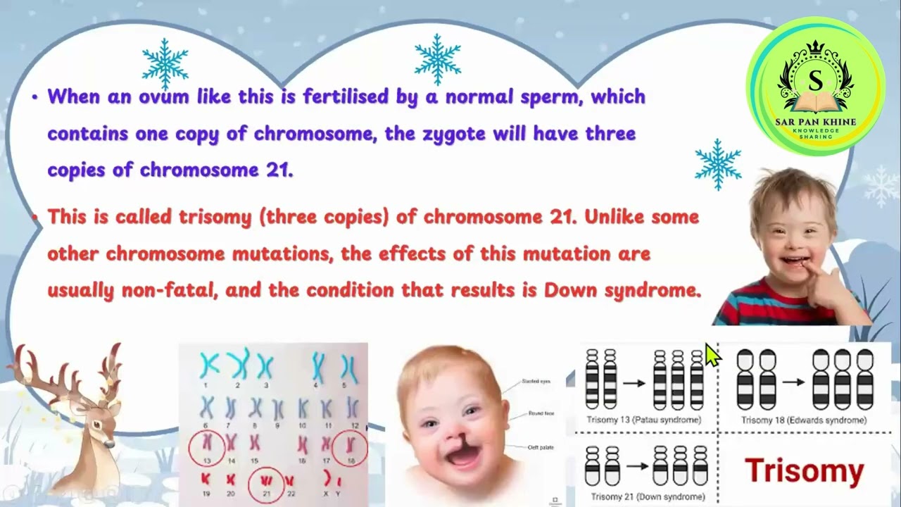 Grade 11 Biology Chapter 5 Continuation of life _5.3 Mutation and Variation_5.3.1 Mutation (Part 1)