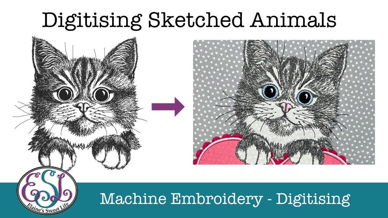 Digitising Sketched Animals (FB Live)