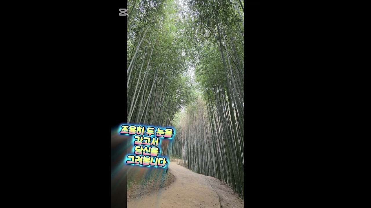 너무합니다  (김수희)  알토색소폰 연주 ♡멋진여사 ♡