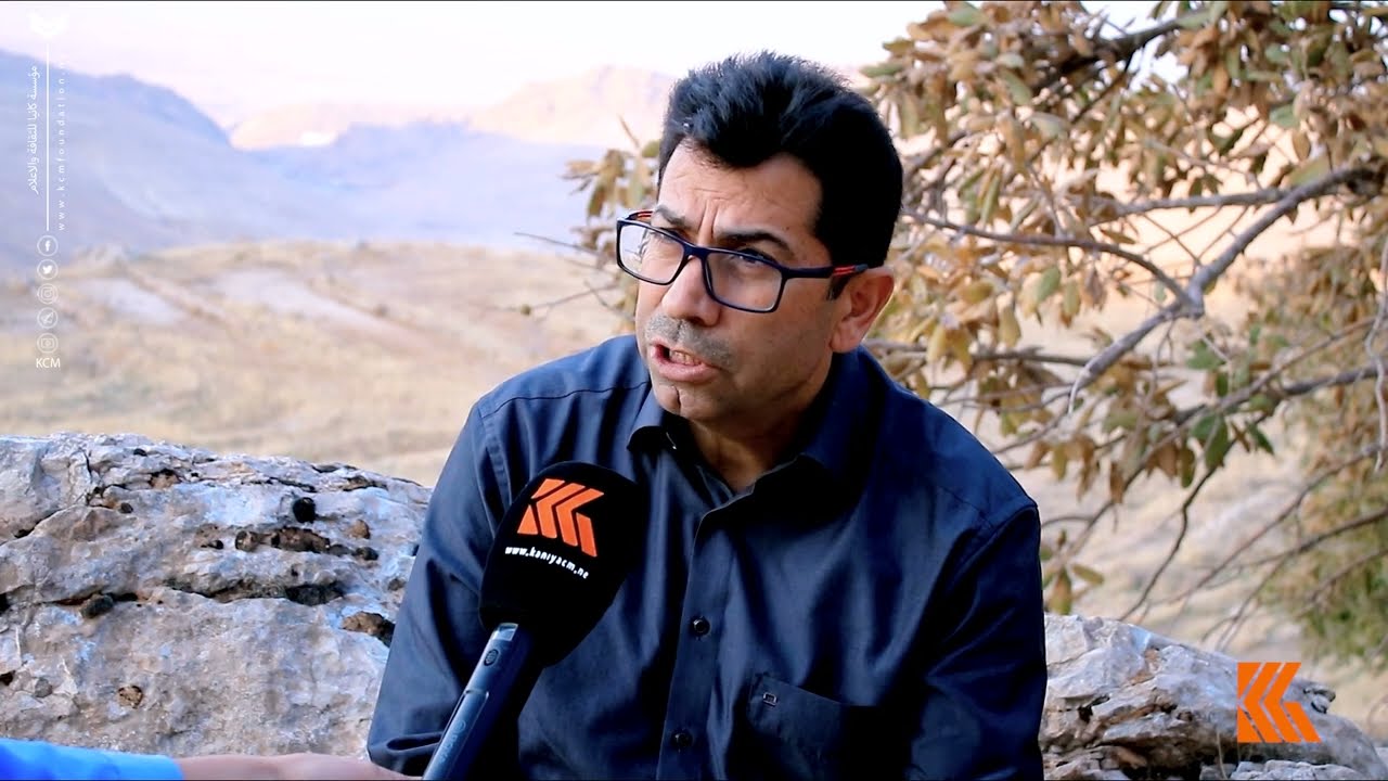 مبادرة خضراء  زراعة 2500 بذرة بلوط جبلي في جبل سنجار بتبرع من أهالي المنطقة و بيت التعايش