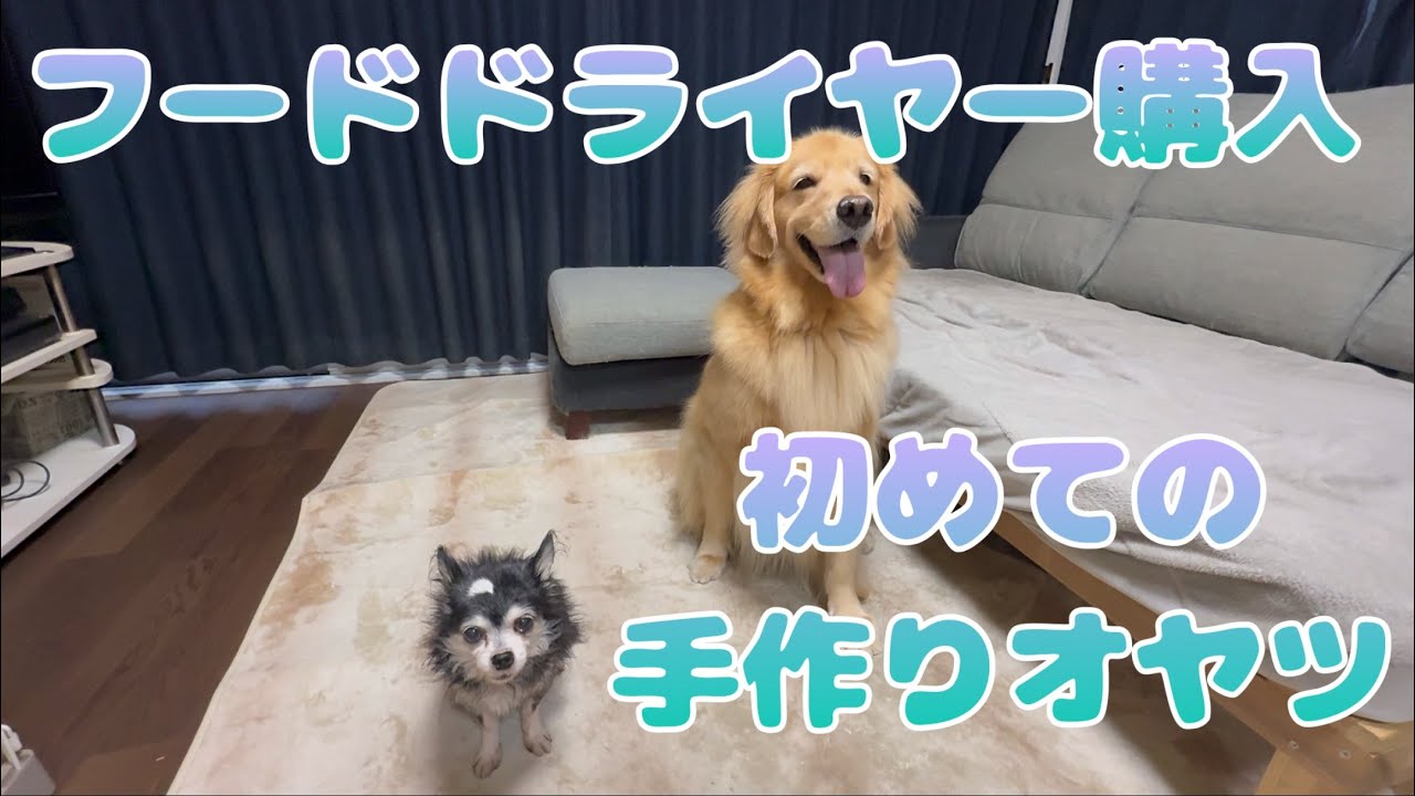 フードドライヤー購入🤩✨初めての手作りオヤツ作り💕