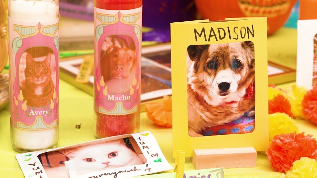 Honoring beloved pets & animals at Woodland Park Zoo&rsquo;s first D&iacute;a de Muertos celebration