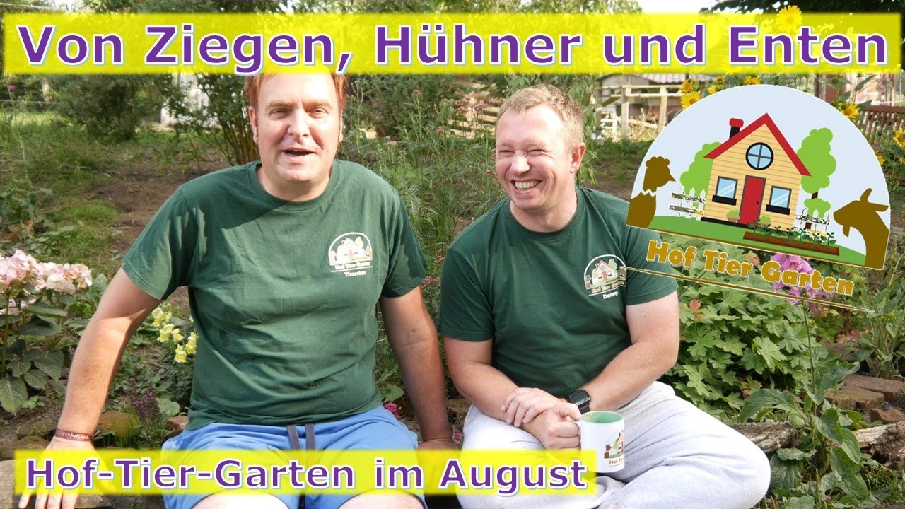Hof-Tier-Garten: Unser Garten im August 2023 - Von Hühnern, Ziegen, Enten und Schildkröten 🐔🐐🐢