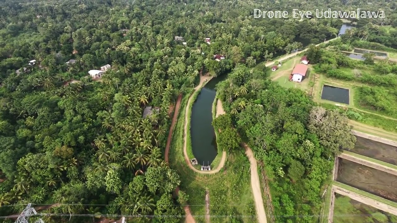 udawalawa dakunu ala.#Udawalawa#SriLankaEngineering#WaterUnderRiver#RareSriLanka