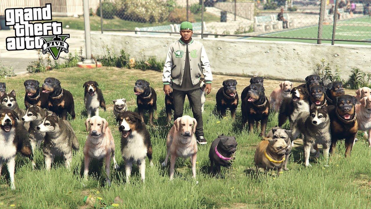 100 DOGS AS BODYGUARDS in GTA 5! (GTA 5 Mods)