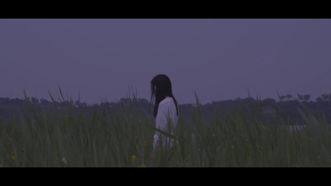 아트필름 (Art Film) : 안개꽃