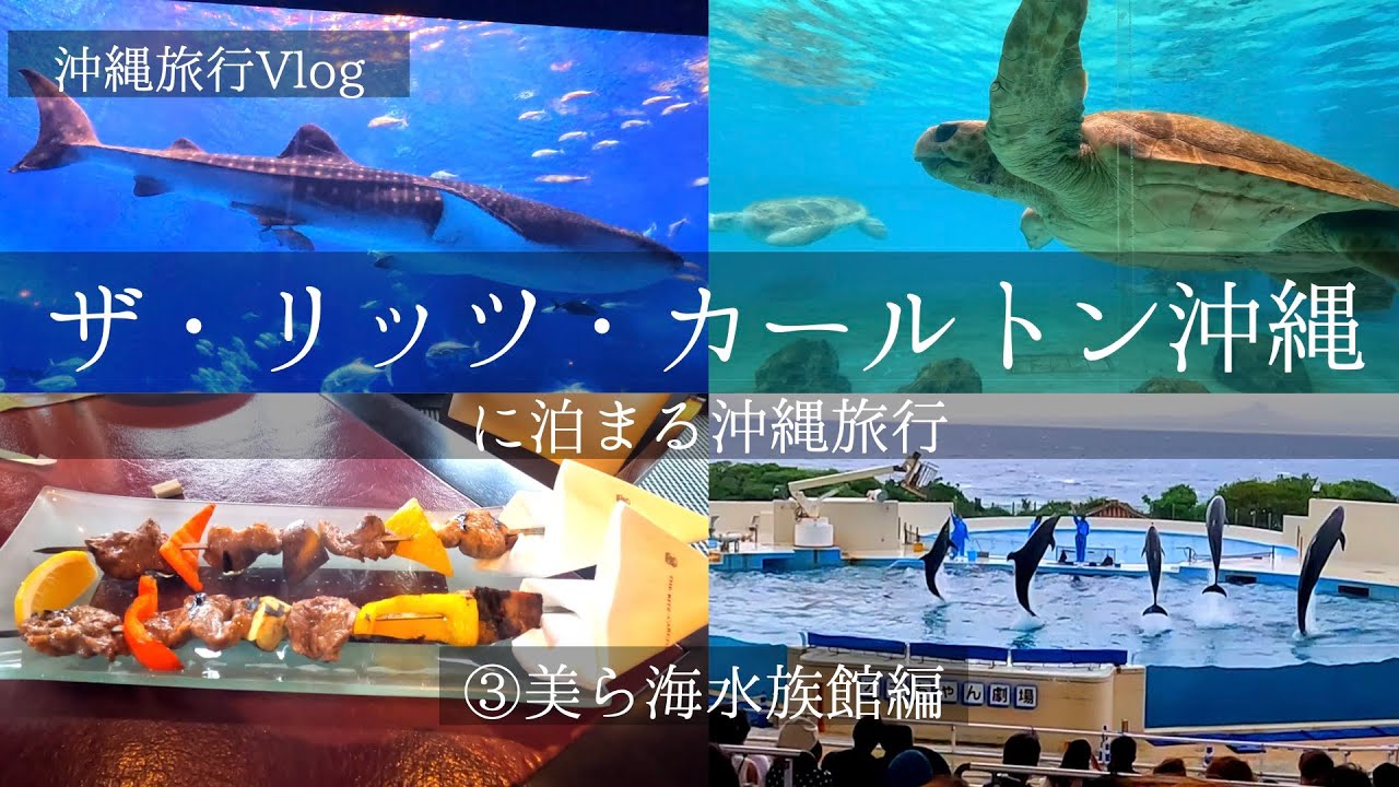 【沖縄旅行Vlog③】ザ・リッツ・カールトン沖縄に泊まる沖縄旅行 美ら海水族館編【夫婦の休日】