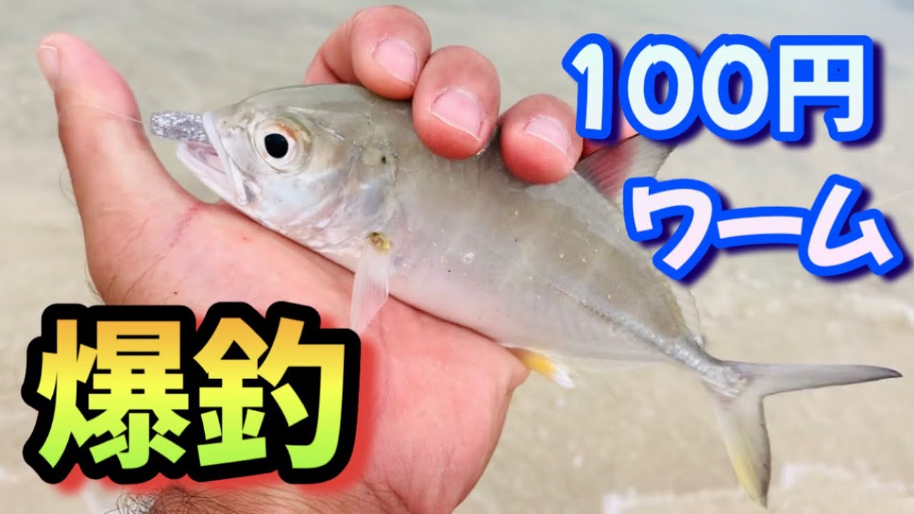【沖縄釣り】ダイソーワームでライトゲームしたら