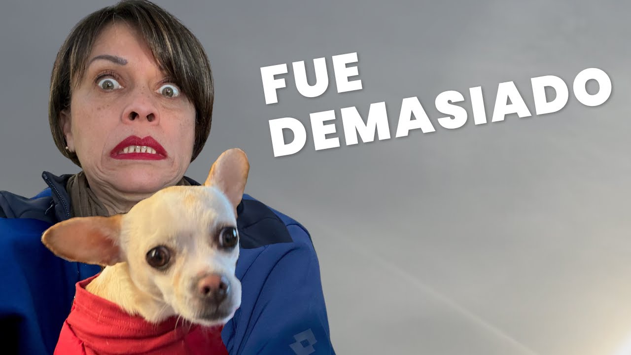 Llegar a Florencia con mi chihuahua fue más duro de lo que imaginé 😔🐶🇮🇹