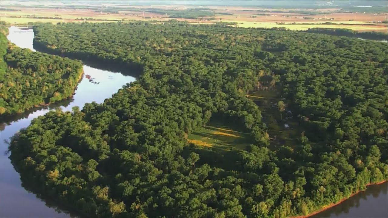 There's 2,000 acres of Pelican Island to explore in Florissant