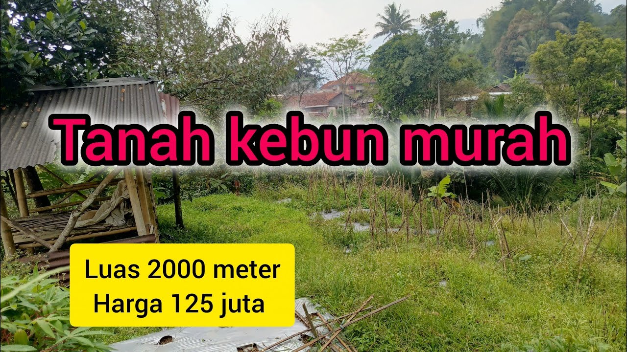 Dijual tanah kebun akses mobil nempel air kali kecil view bagus dan sejuk dekat permukiman
