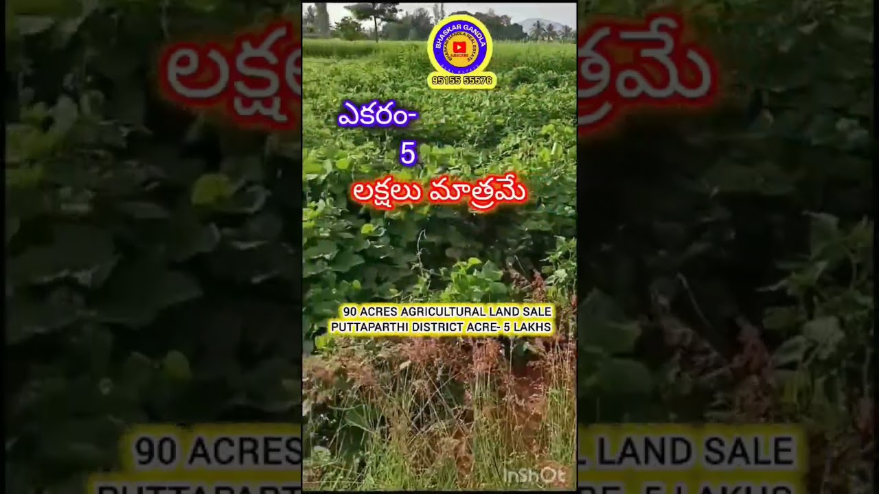 90 Acres Agriculture land sale || Acre-5 lakhs || puttaparthi district