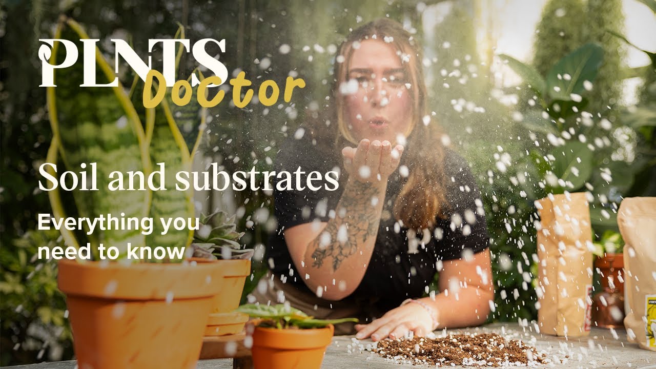 Houseplant soil mix and substrates: everything you need to know | PLNTSdoctor S02E11