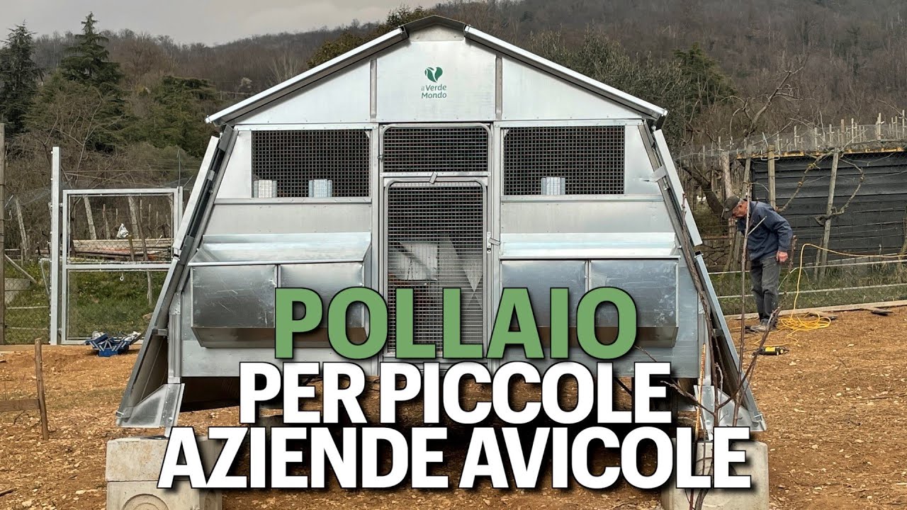 Secondo pollaio da 100 galline per Sonia Ongaro