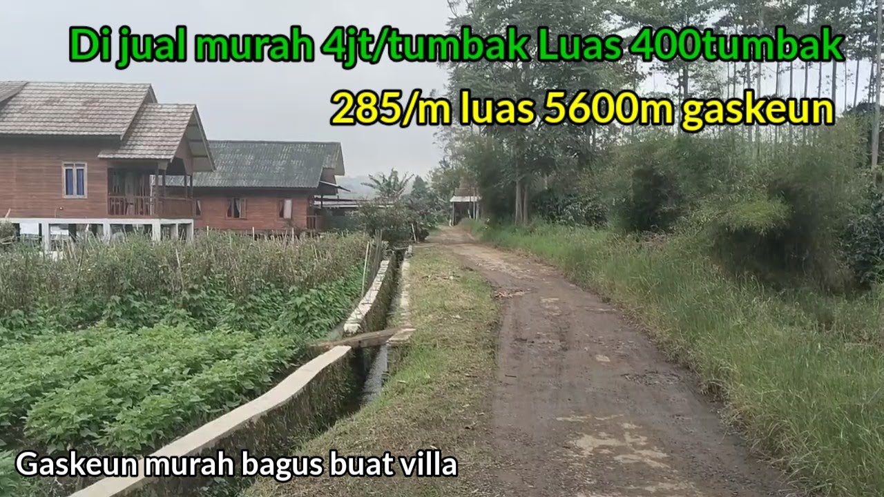 Wow Bagus banget!! Luas 5600meter bagus buat villa udara sejuk 1250mdpl harga 285rb /m nego