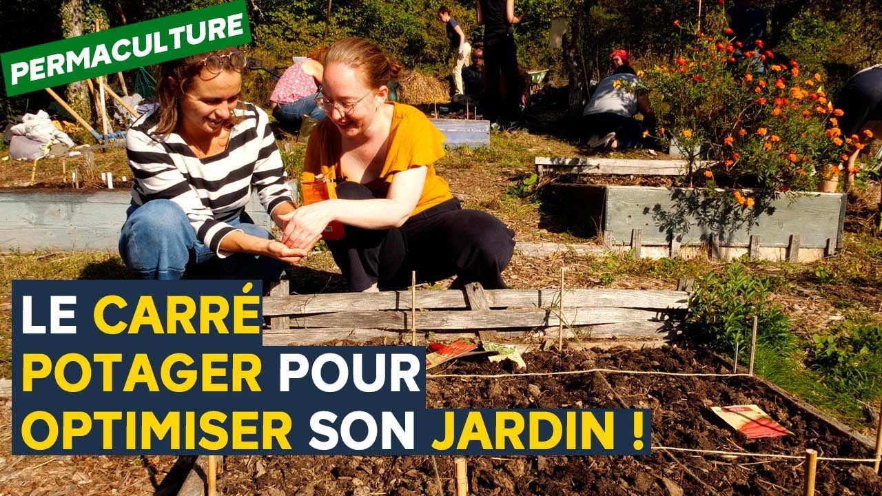 On a suivi une formation pour démarrer un potager en permaculture !
