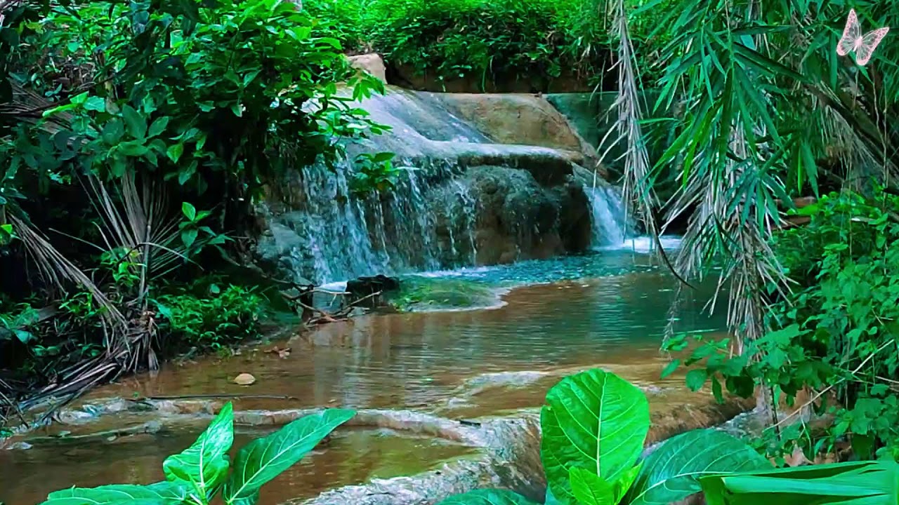 Relaxing Music For Stress Relief, Anxiety and Depressive States🌲 Heal Mind, Body and Soul Calm 60