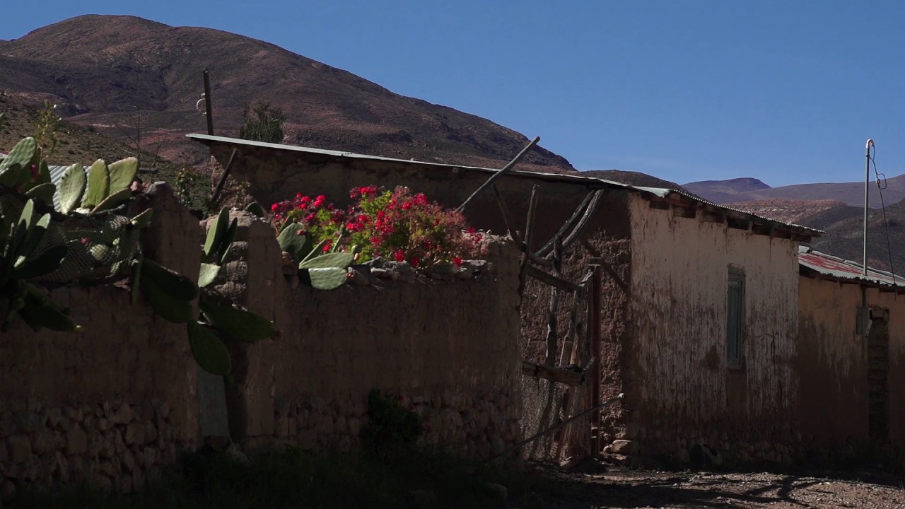 Vida Humana en el desierto: Precordillera de Arica.
