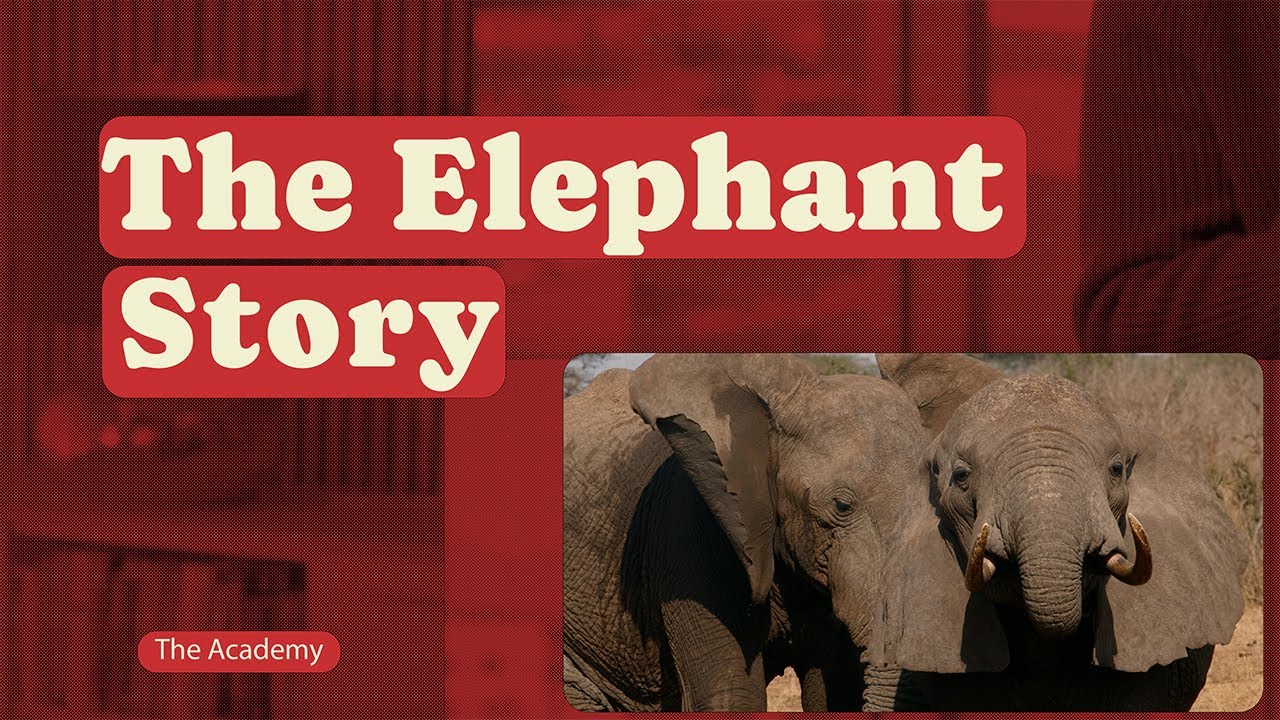 Short Course: Fighting Logic with Emotion &ndash; The Elephant Story