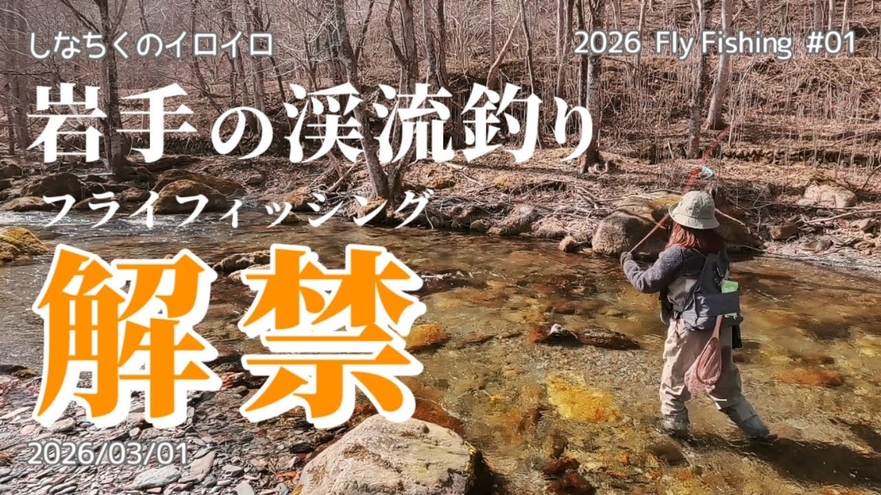 岩手の渓流釣り「解禁」【フライフィッシング】（2026/03/01）