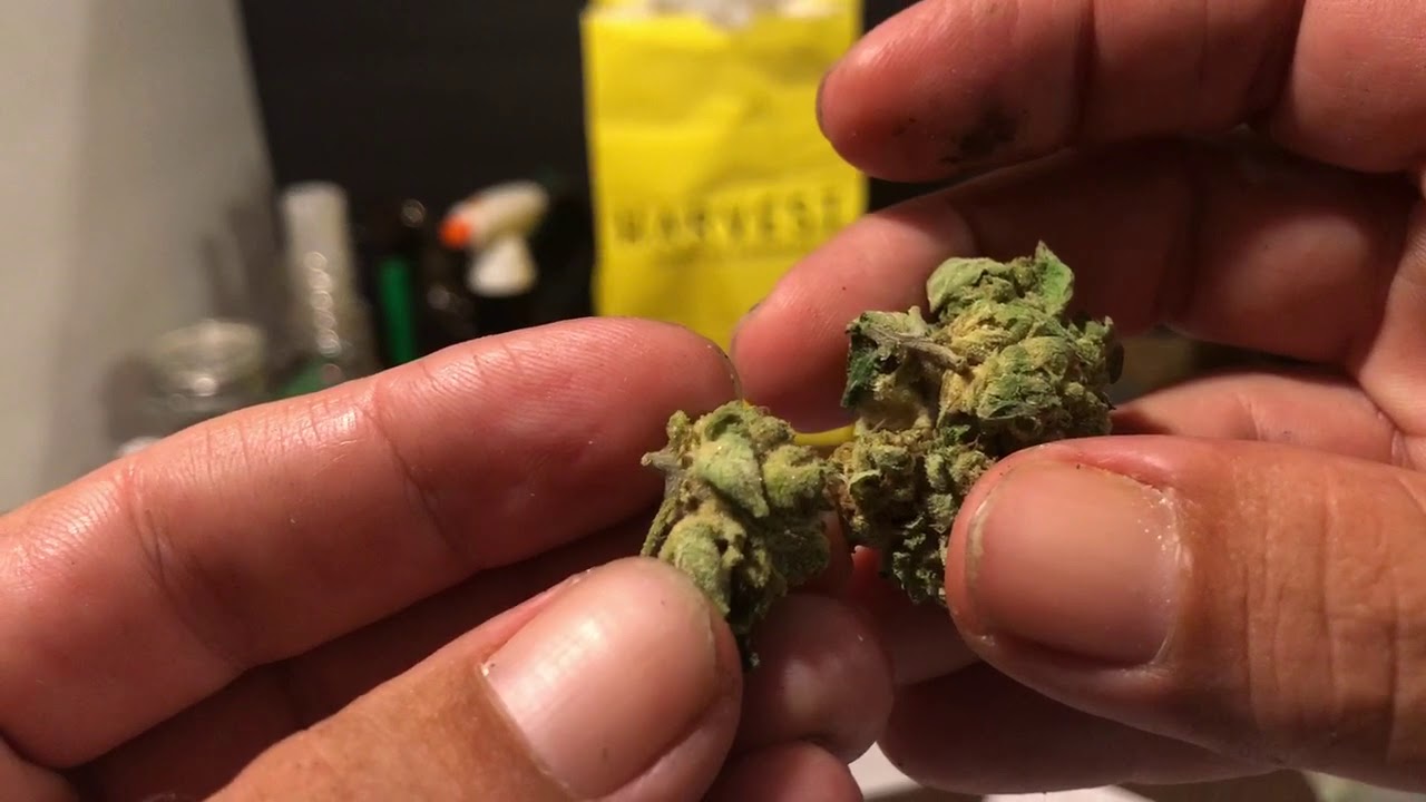 Harvest House Of Cannabis $35 Smokable Flower Haul Mmj Fl
