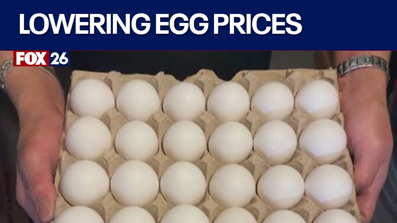 Egg prices: USDA unveils plan to combat price hike