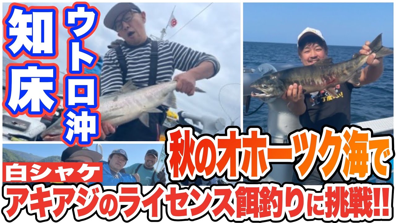 知床ウトロ、オホーツク海沖でアキアジのライセンス餌釣りに挑戦