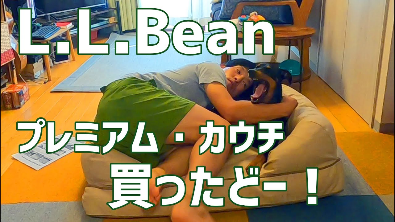 【買ったどー】L.L.Beanのプレミアムドッグカウチ買ってあげたけど、いつもどうり食べ物以外には興味がないジャーマンピンシャーライリー。