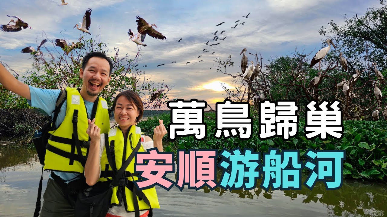 上萬隻候鳥栖身之所：安順小島，夕陽時上演萬鳥歸巢 【安順游船河】Teluk Intan River Cruise