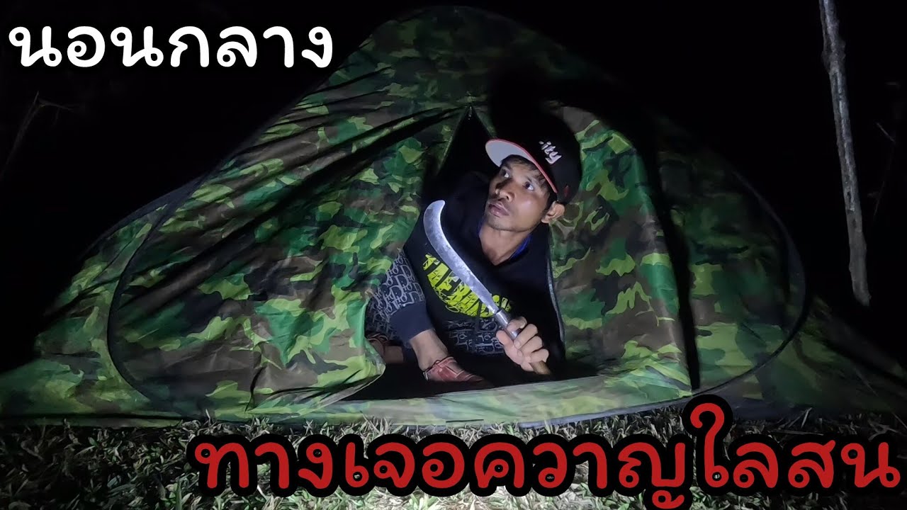นอนป่ากลางทางเจอสัตว์ป่าใลสน