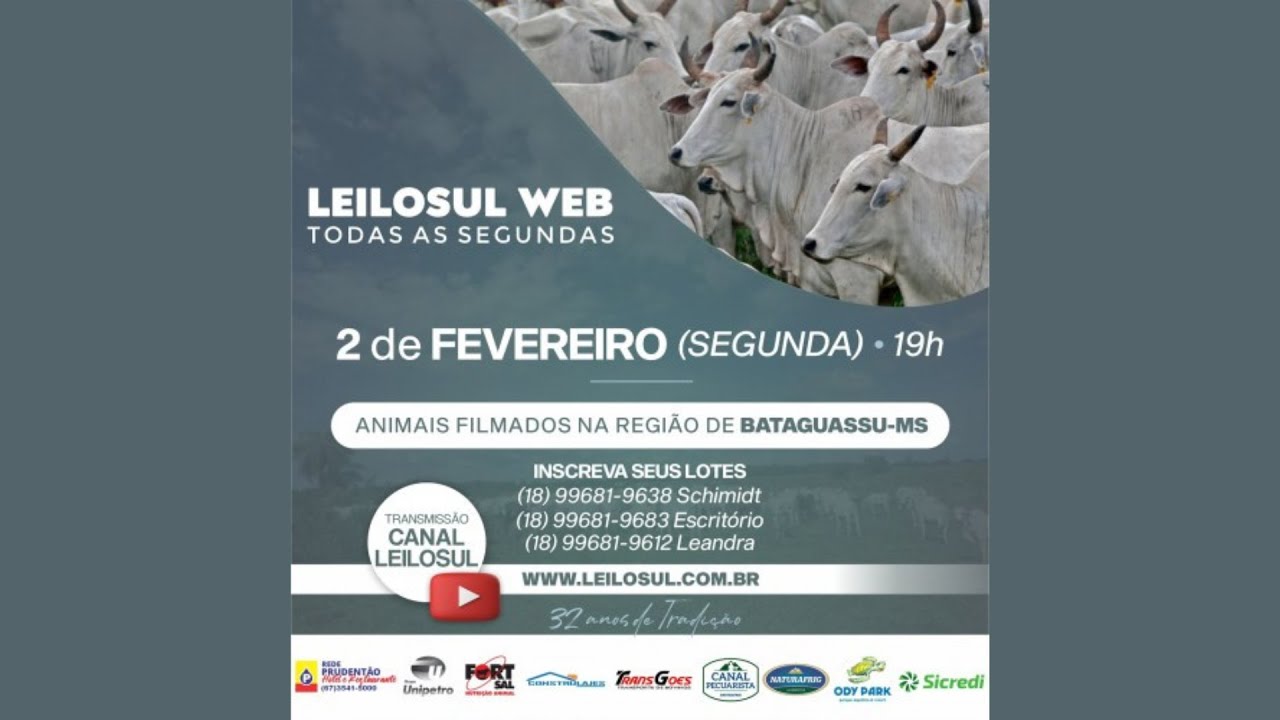LEILOSUL NA WEB - 02/02/26