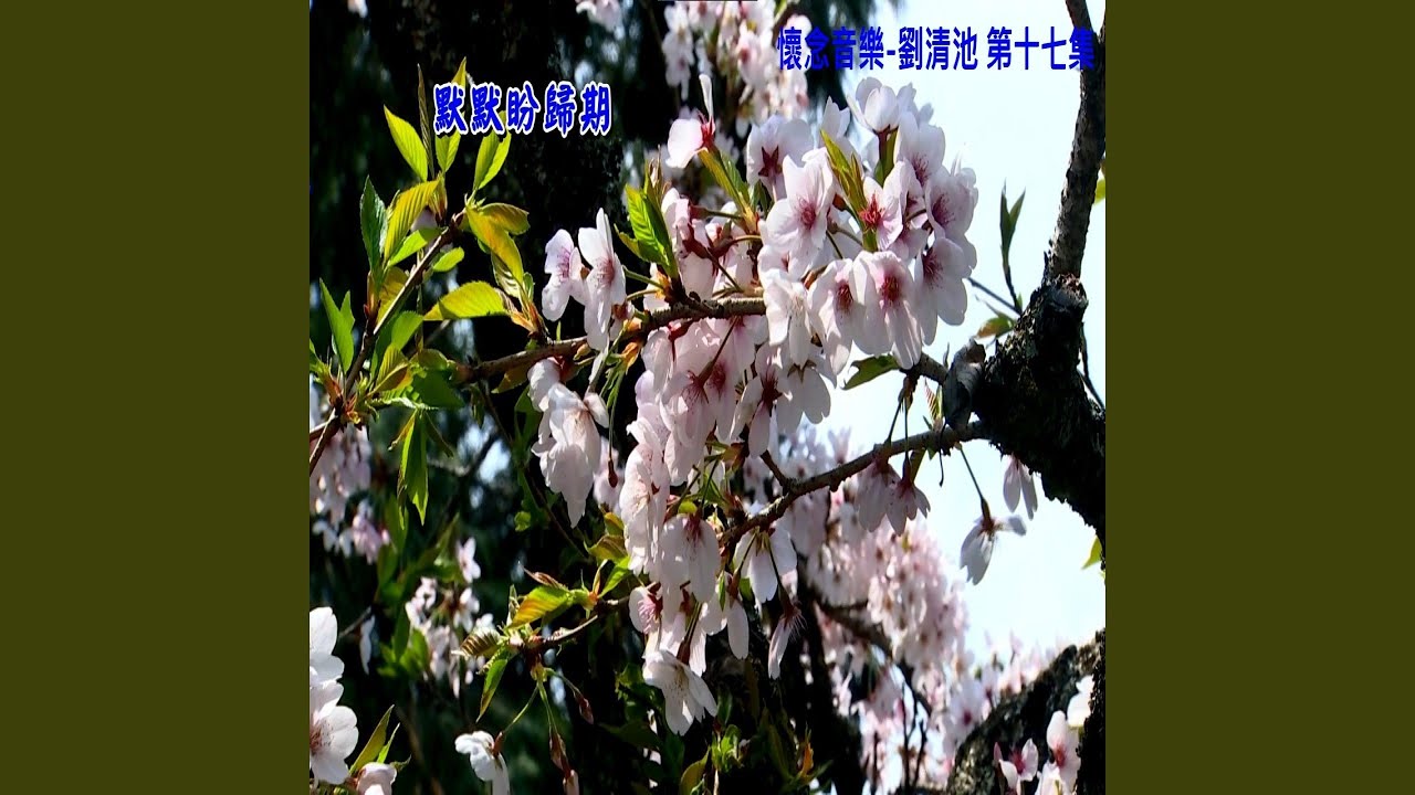 默默盼歸期