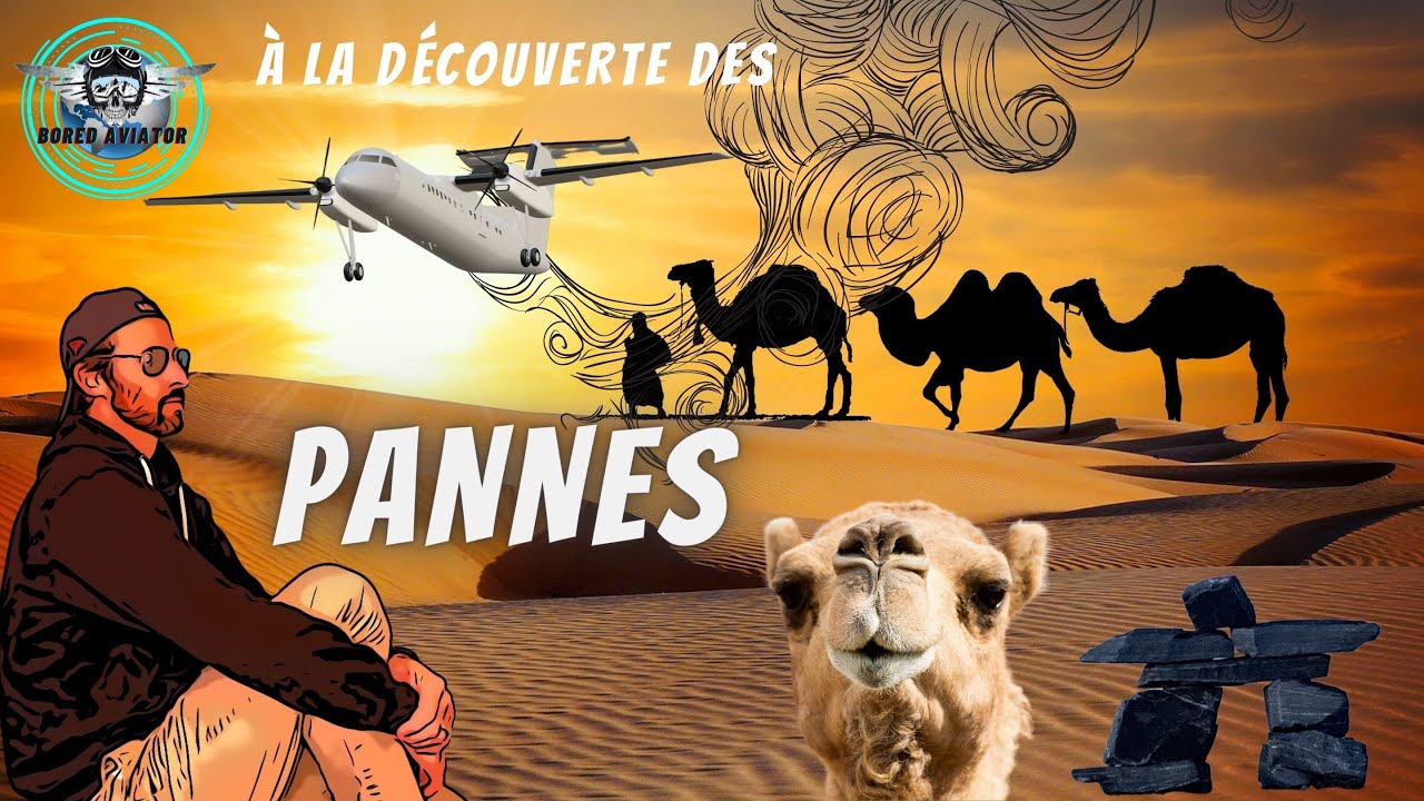 DHC8-314🔥| LES PANNES DIVERSES 😵‍💫 - BAShow
