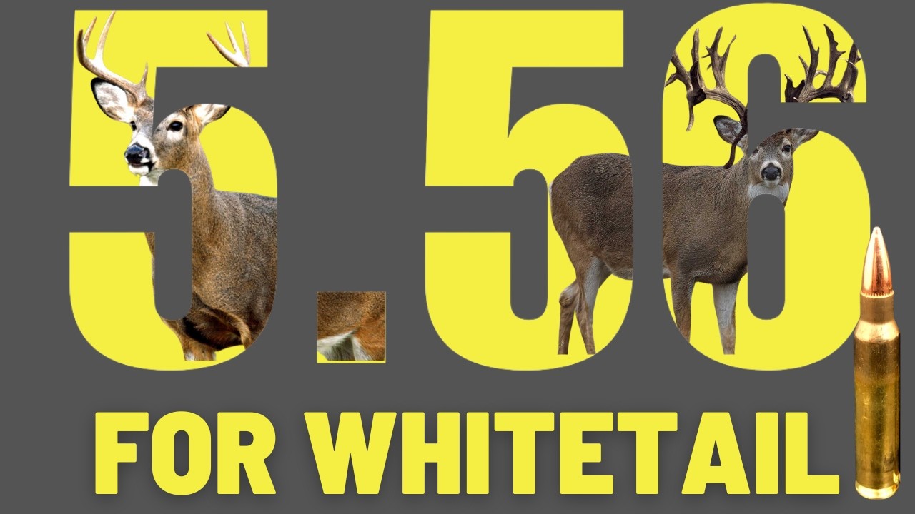 Can You Use A 5.56 For Deer Hunting?
