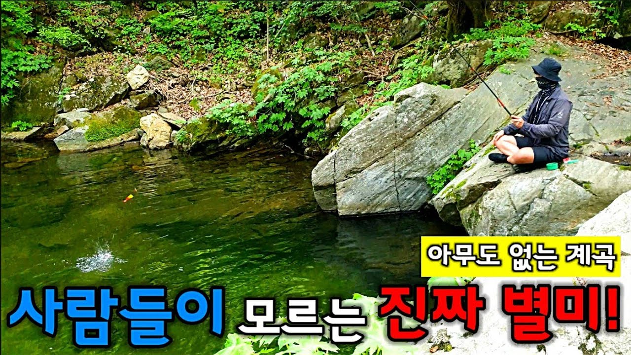 인적없는 깊은 곳 귀한 별미를 잡아서 먹어보자/역대급 조과/수중촬영/아무도 없는 나만의 행복한 포인트/ 낚시 캠핑 차박 자급자족